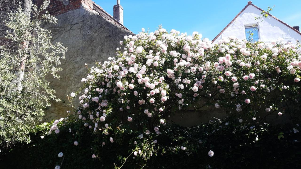 Artuur Bed & Breakfast Bruges Exterior photo